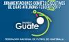 JURAMENTACIONES COMITES EJECUTIVOS LIGAS AFILIADAS / FEDEFUT